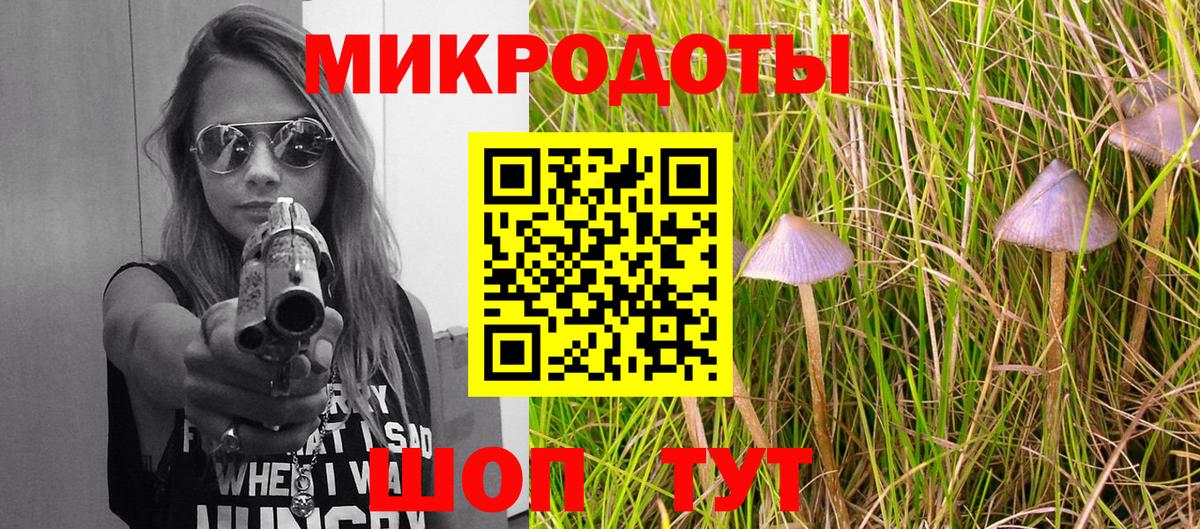 Псилоцибиновые грибы MAGIC MUSHROOMS Александров